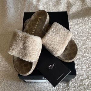 Coach Ulla Shearling Slide